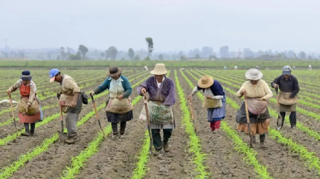 Agencia Nacional de Tierras aprueba 147.634 hectáreas para la Reforma Agraria