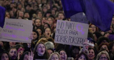 Se está realizando investigaciones frente a funcionarios públicos , por presunta omisión a las medidas de seguridad en el Caso Erika Aponte — Google