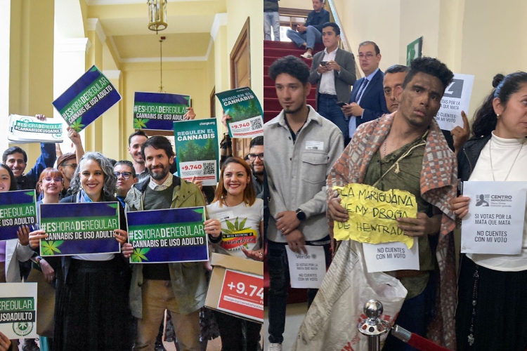 ¡Se perdió la batalla pero no la guerra! ponentes del proyecto que regula el cannabis de uso adulto