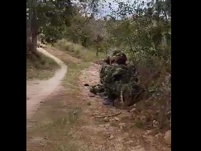 Combates entre Ejército y disidencias dejan una menor muerta - Captura de video