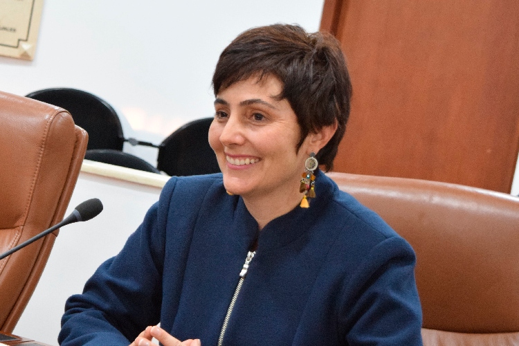Consejo de Estado dejó en firme elección de la representante Carolina Giraldo - Google
