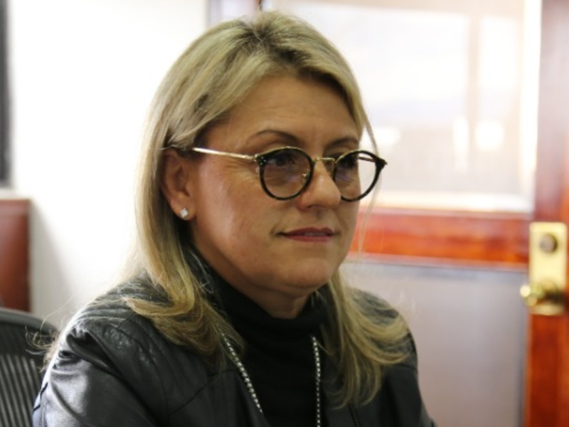 Fabiola Márquez, directora del CNE - Google
