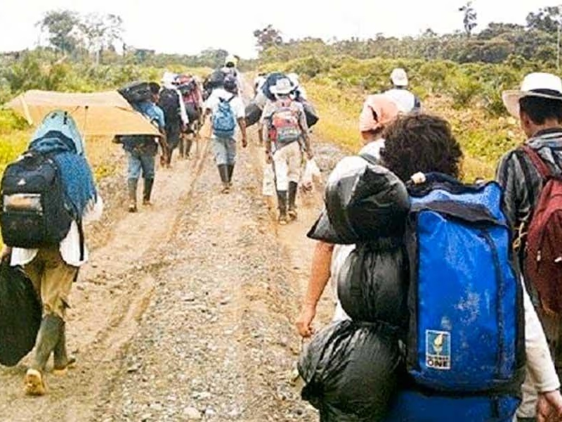 Colombia fue el país con más desplazados internos en el primer semestre del 2023 - Google