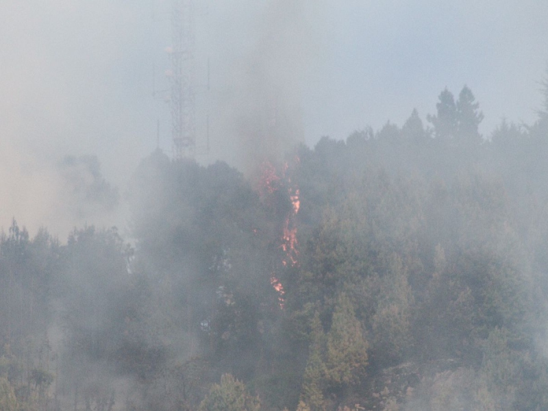 Las impresionantes imágenes de incendio en cerros orientales de Bogotá - Cortesía