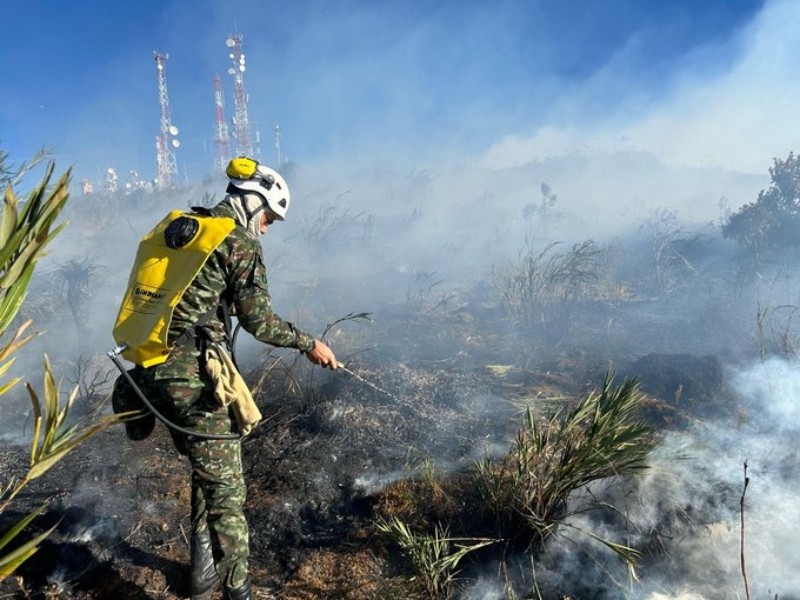 Siguen bajando los incendios forestales en Colombia; cinco activos en el país - Cortesía