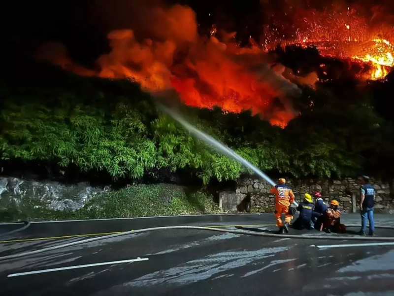 Los incalculables daños forestales que dejan incendios en Santander - Cortesía