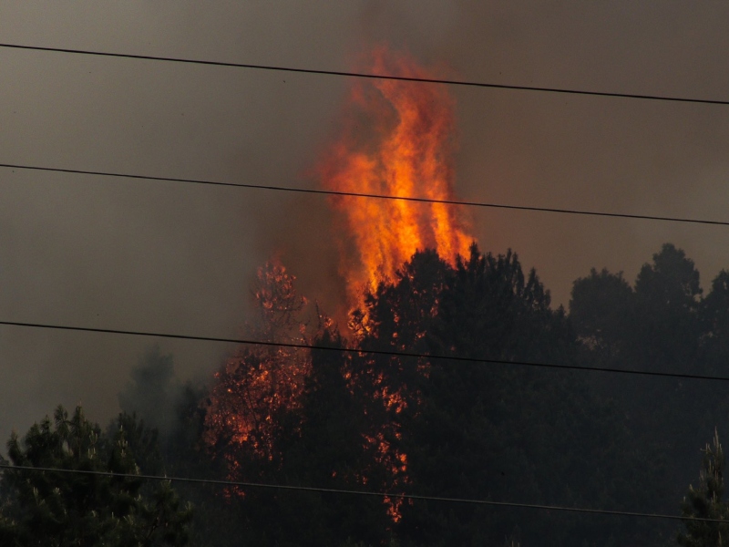 Más de 17.000 hectáreas afectadas por los fuertes incendios en Colombia - Cortesía