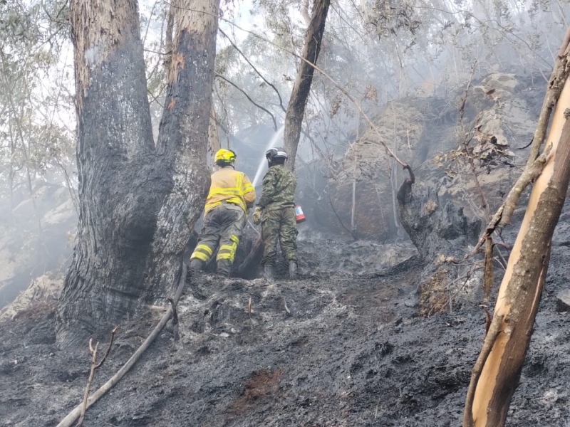 Aumentan a 883 los municipios en alerta por riesgo de incendios forestales - Redes Sociales