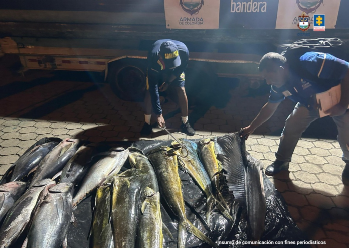 Asegurados tres hombres por pesca ilegal en Tumaco.