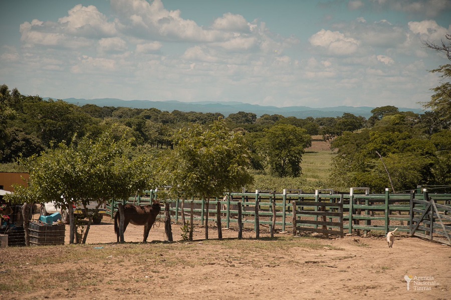 Los trámites ante la Agencia Nacional de Tierras son gratuitos y no necesitan intermediarios, no se deje engañar