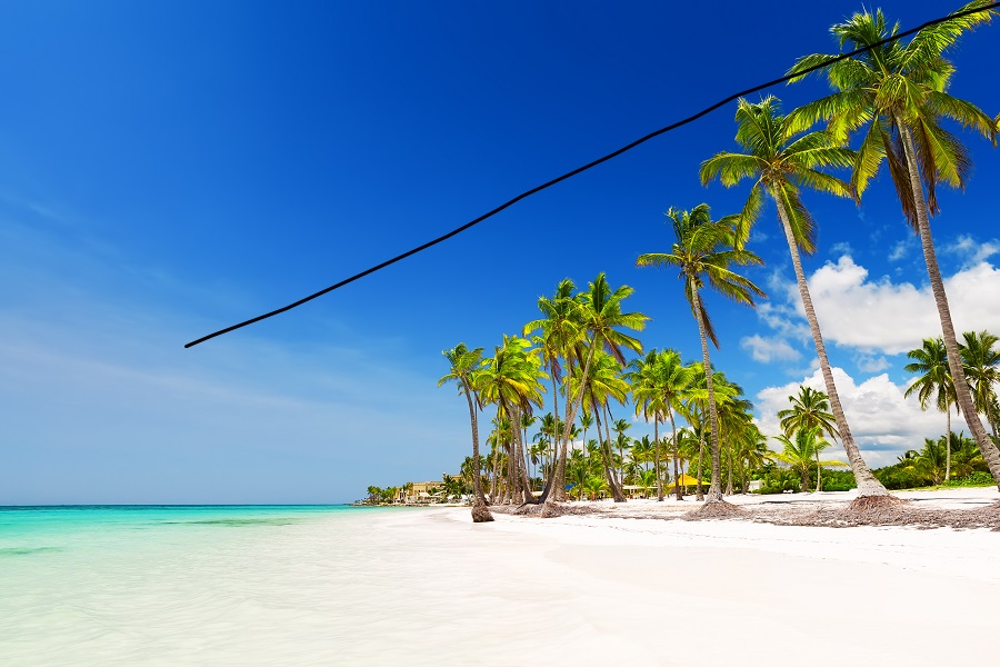 Coconut,Palm,Trees,On,White,Sandy,Beach,In,Punta,Cana,