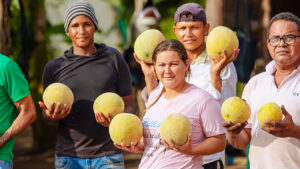 Finagro y Fondo Agropecuario de Garantías han facilitado más de 700 mil créditos por $12,9 billones.