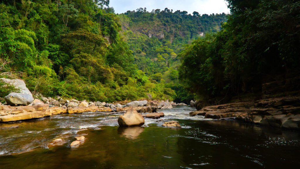 Colombia es uno de los mejores destinos para visitar en 2025, según medios internacionales.