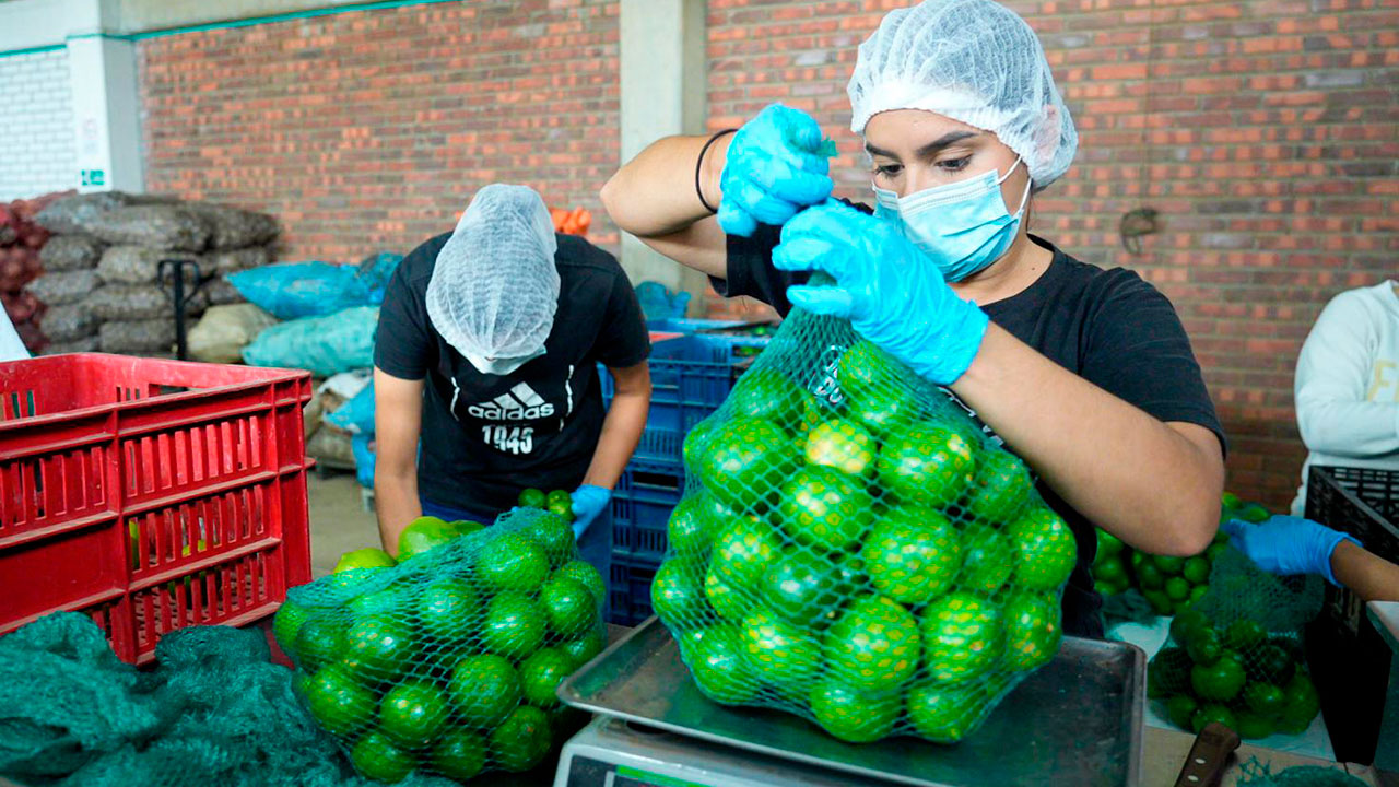 Medidas clave del sector agro en el Catatumbo