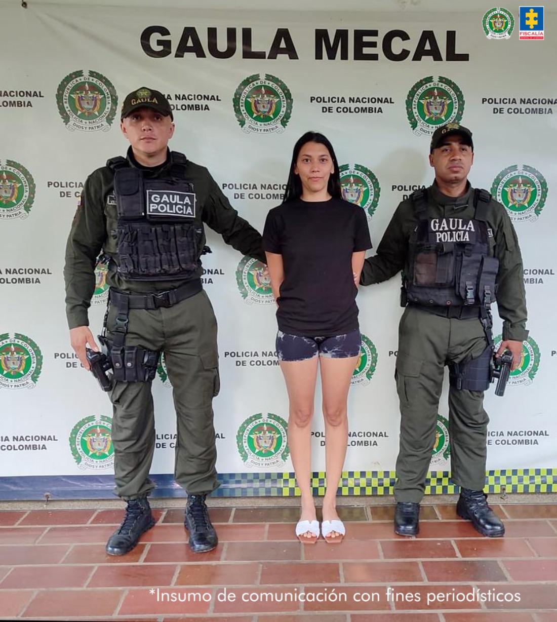 Asegurada presunta integrante del ‘Clan del Golfo’ 