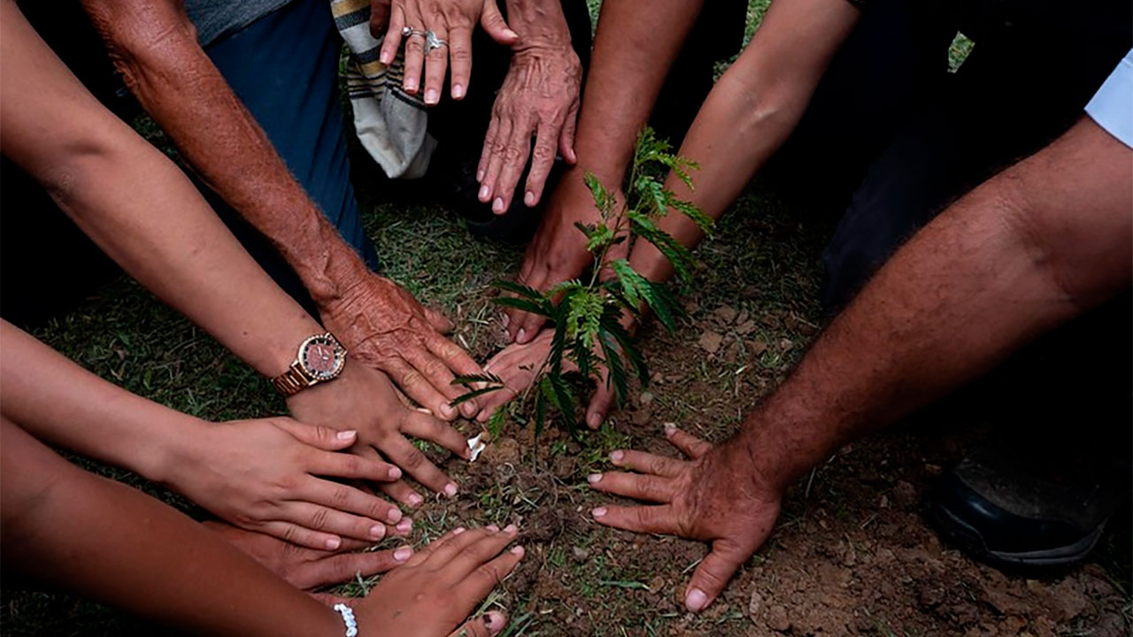 Arranca convocatoria por más de $ 38.000 millones para proyectos ambientales en Catatumbo