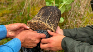 El 17 de junio Colombia será epicentro del Día de Lucha contra la Desertificación y la Sequía.