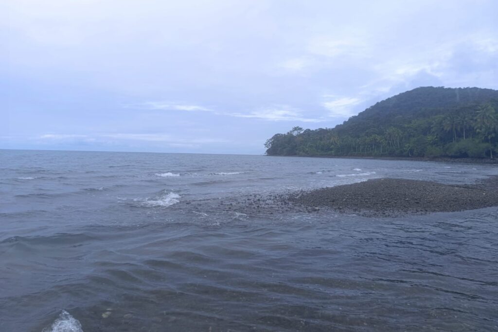 Advertencia por tsunami: ordenan evacuar playas del Pacífico - Foto: Cortesía