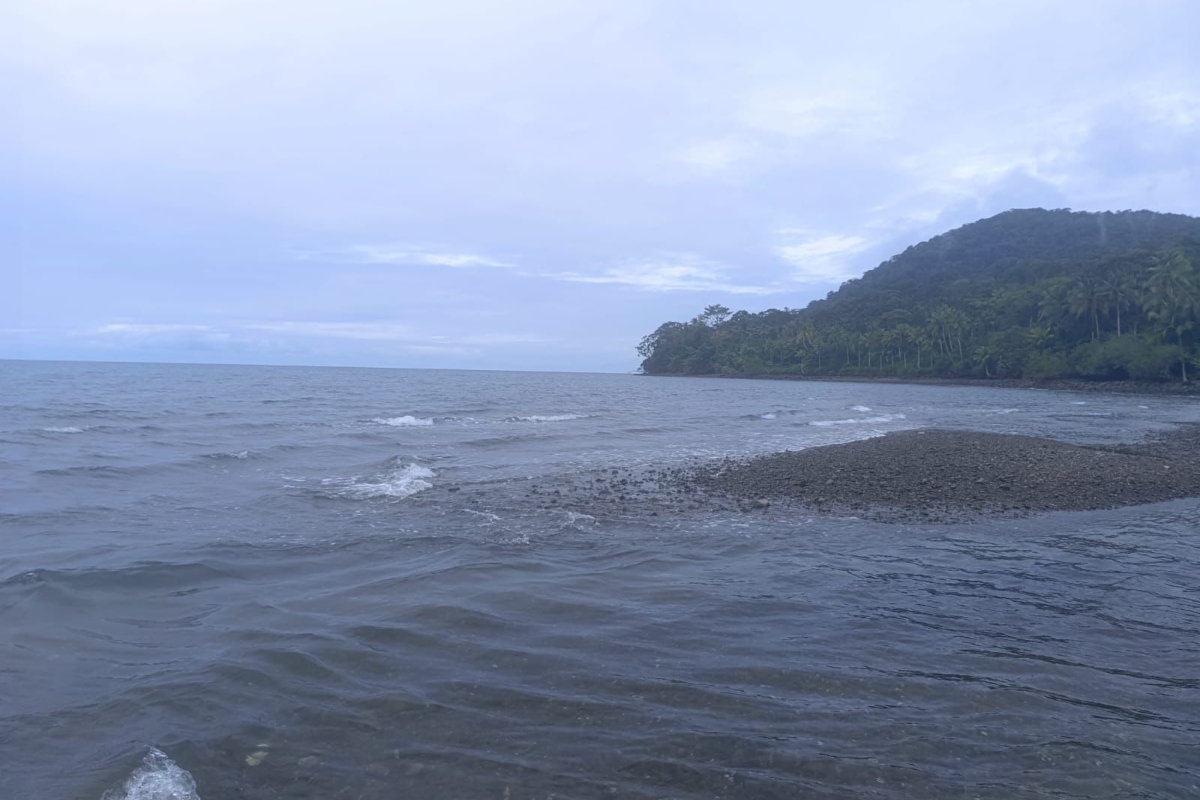 Advertencia por tsunami: ordenan evacuar playas del Pacífico - Foto: Cortesía