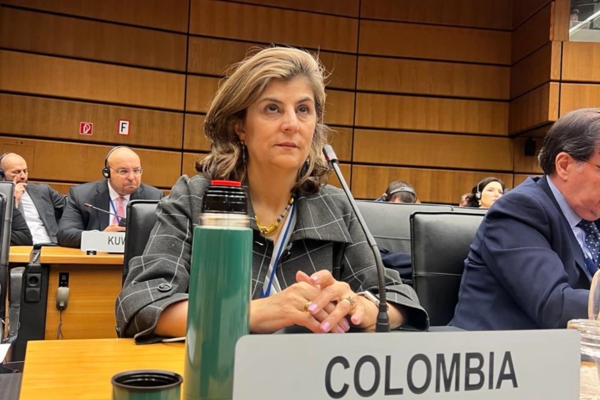 Laura Gil renunció a su cargo de embajadora de Colombia en Austria - Foto: OEA