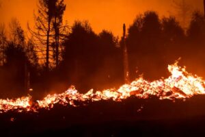 Dos incendios consumen cientos de hectáreas en Alemania - Foto: Redes sociales