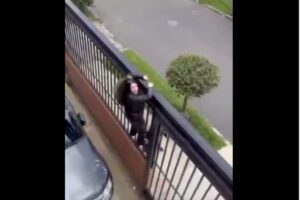 Intento de robo en el norte de Bogotá terminó con una de las ladronas atrapada - Foto: Captura de video