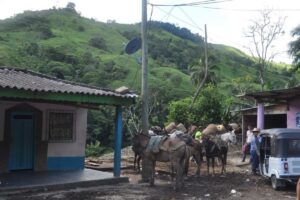 Millonaria recompensa por responsables de ataque a soldados en Valdivia, Antioquia - foto: Referencia