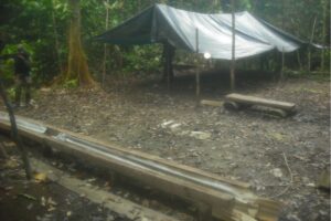 Colombia protesta ante Perú por supuesta ocupación indebida de tierras - Foto: Tomada de internet