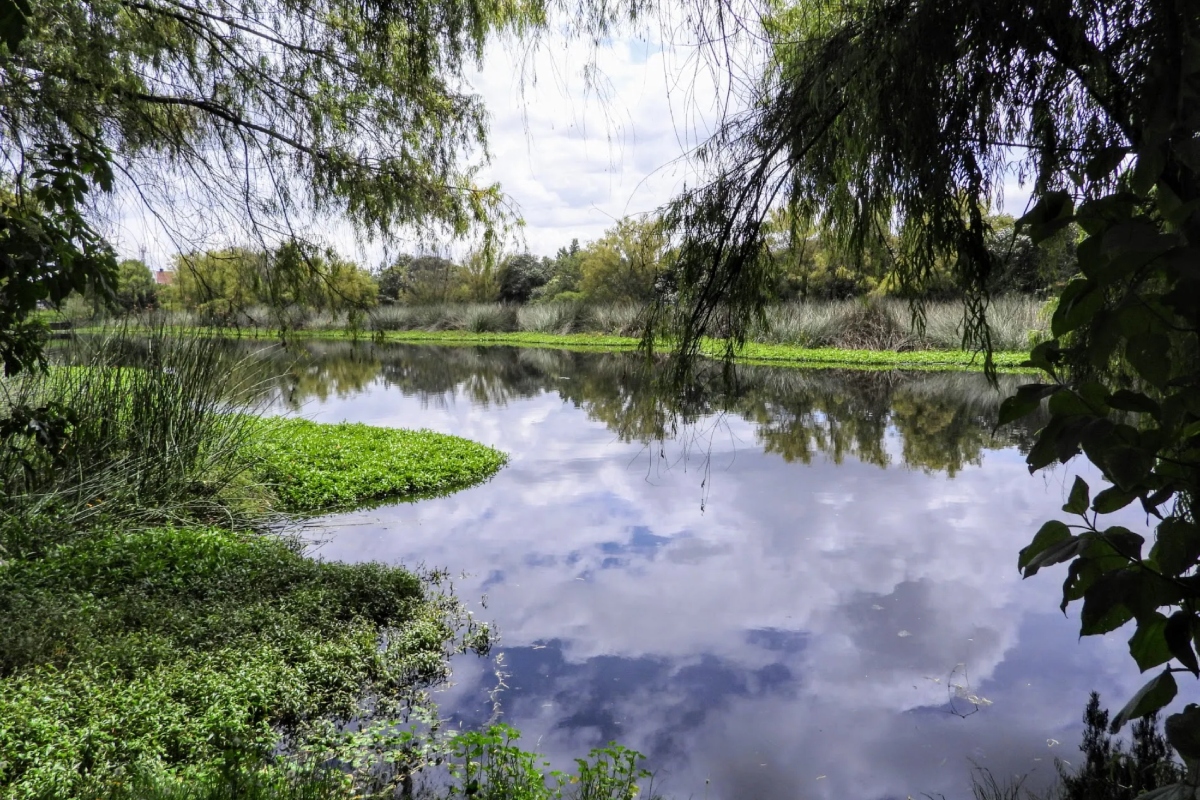 Hallan en humedal La Vaca el cuerpo de un hombre que había desaparecido