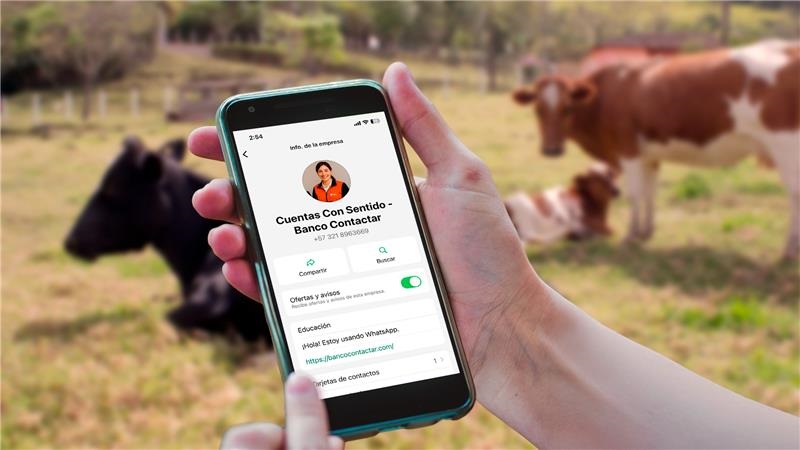 Inteligencia artificial al servicio del aprendizaje financiero en Contactar