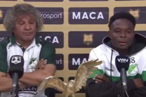 Explosivas declaraciones del jugador del Cali, Avilés Hurtado - Foto: Captura de video