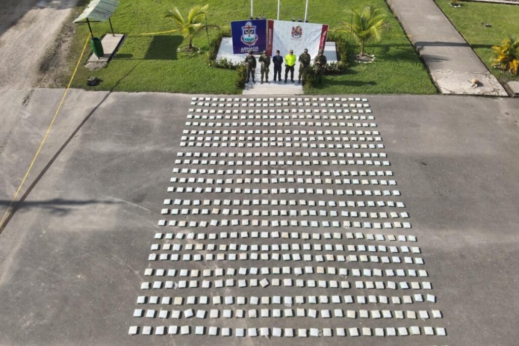 Golpe al narcotráfico en Putumayo: Ejército y Policía incautan casi una tonelada de marihuana y capturan a presunto integrante de grupo residual - Foto: Cortesía