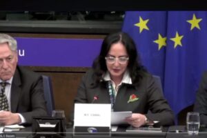 Integrantes del Centro Democrático hablaron ante el Parlamento Europeo - Foto: Captura de video