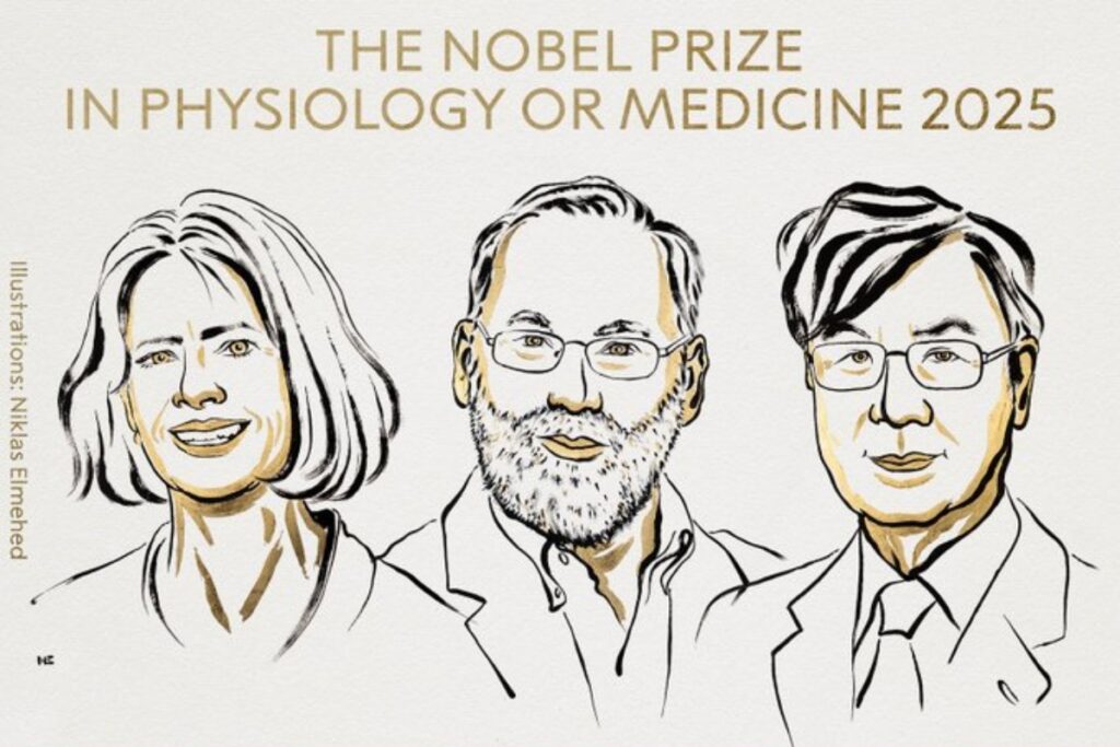 Fue entregado el Premio Nobel de Medicina 2025 - Foto: @NobelPrize