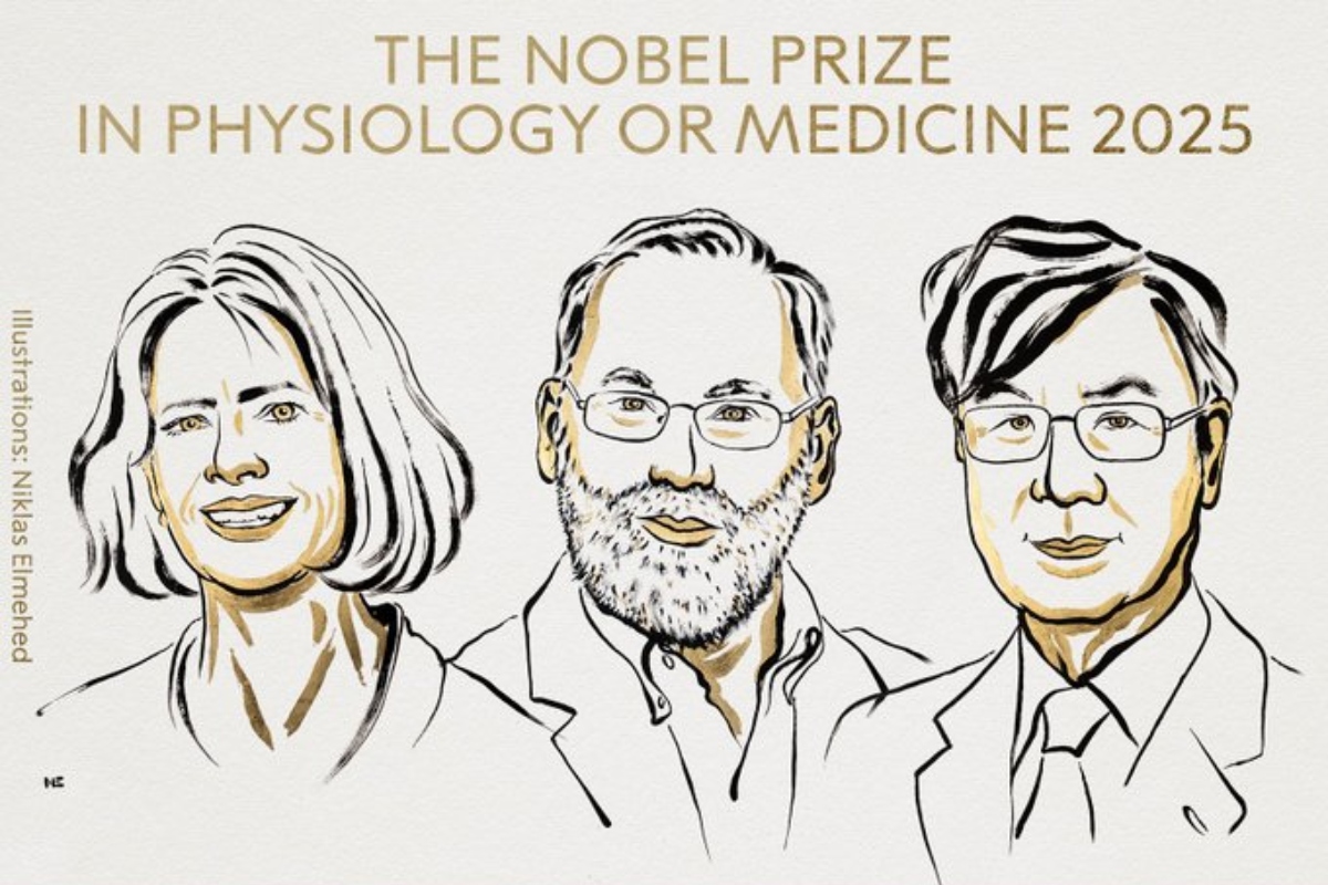 Fue entregado el Premio Nobel de Medicina 2025