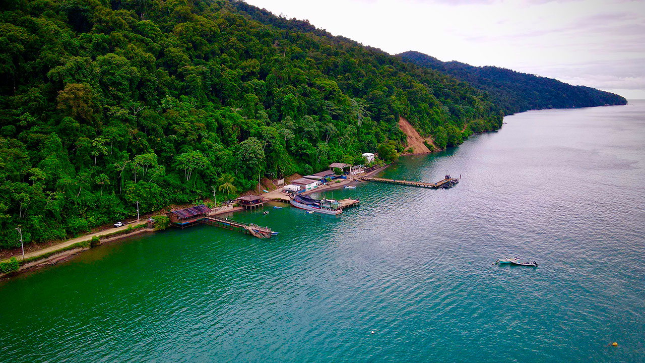 5 veces superior a vías 4G: Gobierno proyecta inversión en transporte de 321 billones.