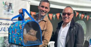 Esta Navidad más de 50 perros y gatos esperan encontrar una familia en Bogotá.