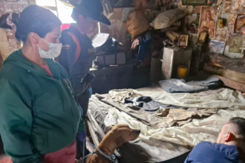 Autoridades rescataron 30 animales en presunto abandono en la localidad de Santa Fe - Foto: Policía de Bogotá