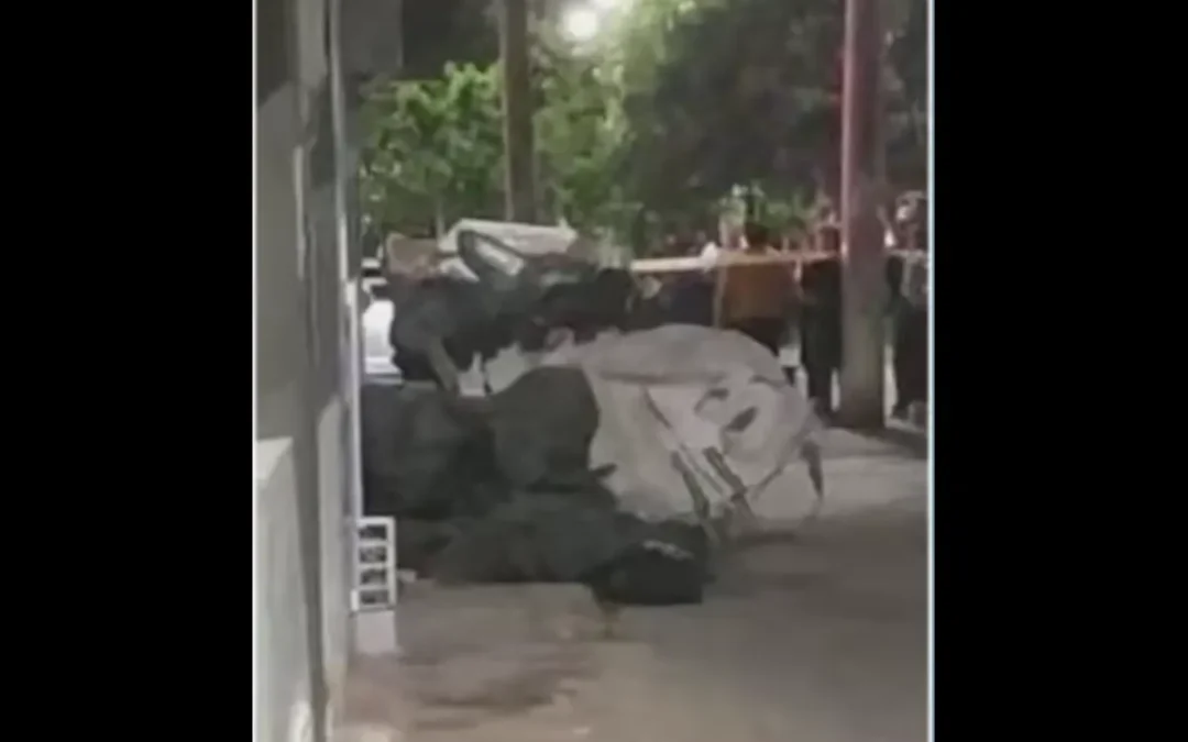 Habitantes en Kennedy encontraron un cuerpo sin vida en una carreta de reciclaje - Foto: Captura de video