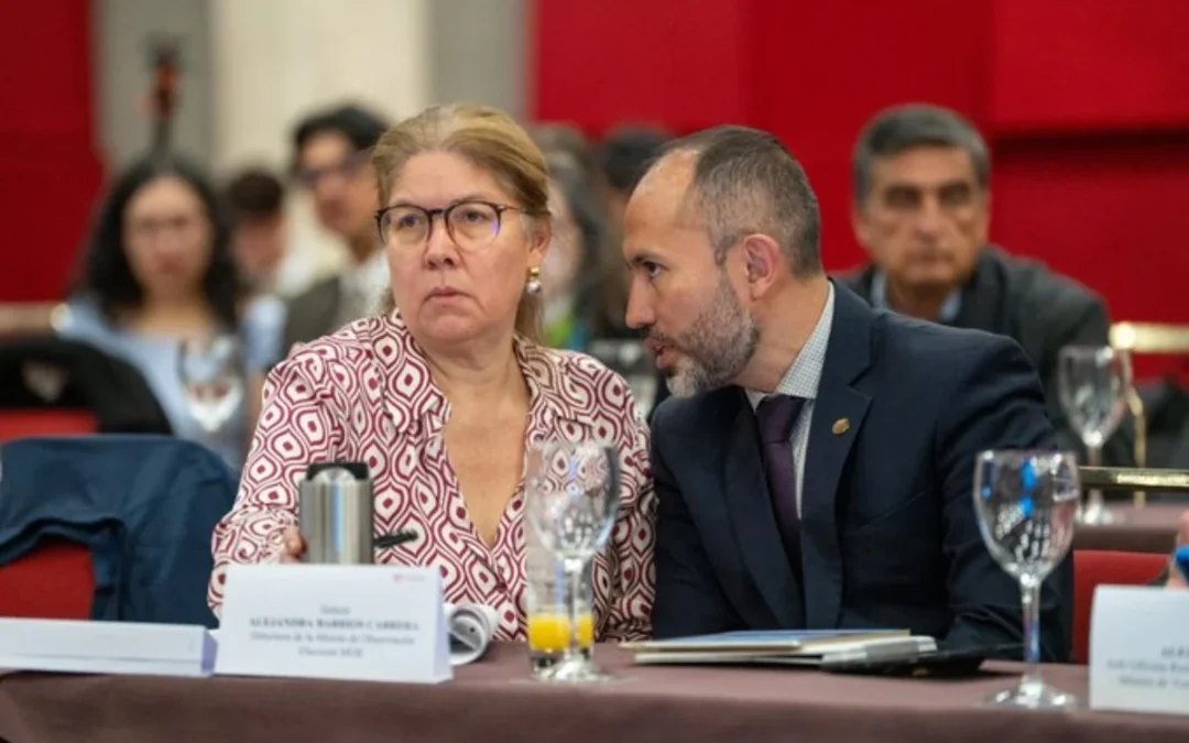 La MOE aclara que no tiene facultades para inhabilitar candidatos a las consultas de marzo - Foto: @moecolombia