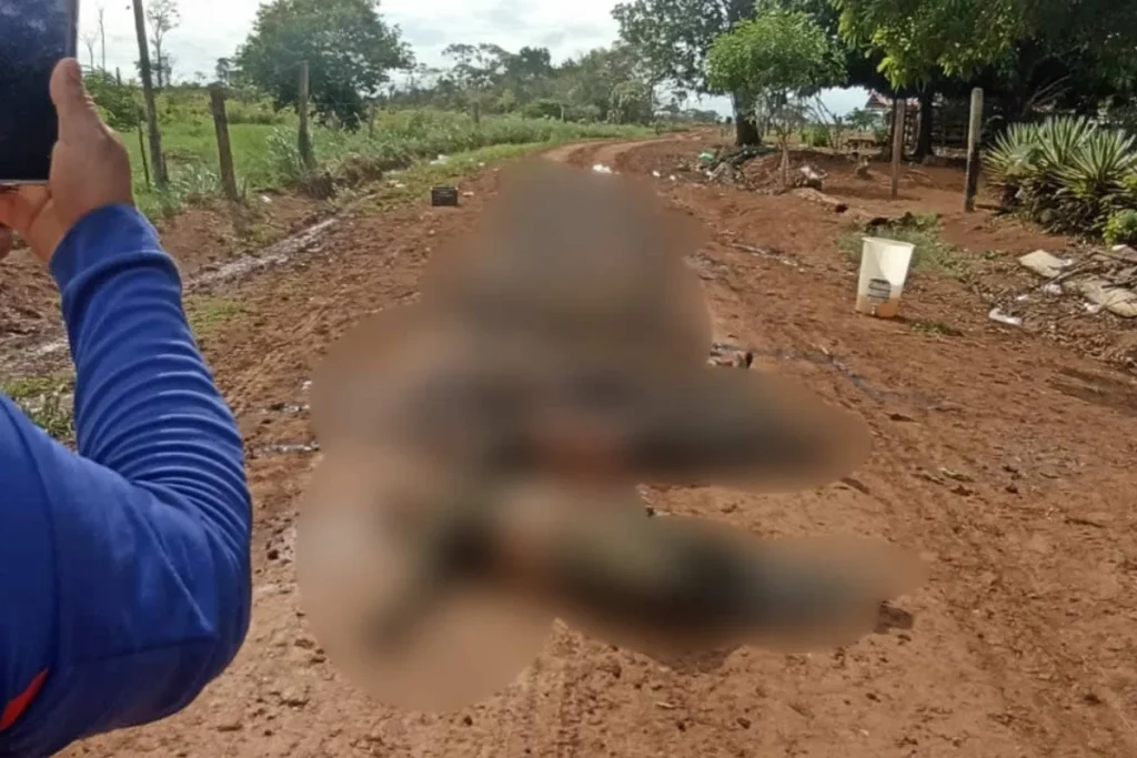 Medicina Legal identifica 24 de los 26 cuerpos tras combates en El Retorno, Guaviare. Confirman la muerte de cuatro menores de edad - Foto: Redes sociales