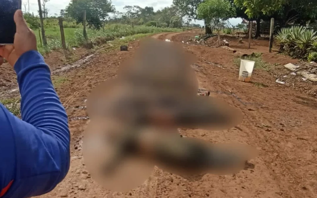 Medicina Legal identifica 24 de los 26 cuerpos tras combates en El Retorno, Guaviare. Confirman la muerte de cuatro menores de edad - Foto: Redes sociales