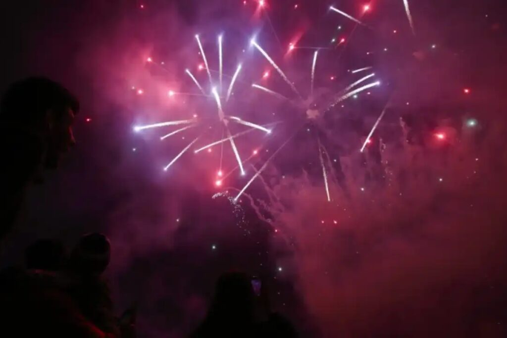 Suba, Engativá y Kennedy, las localidades con más reportes de animales afectados por pólvora - Foto: Redes sociales