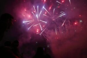 Suba, Engativá y Kennedy, las localidades con más reportes de animales afectados por pólvora - Foto: Redes sociales