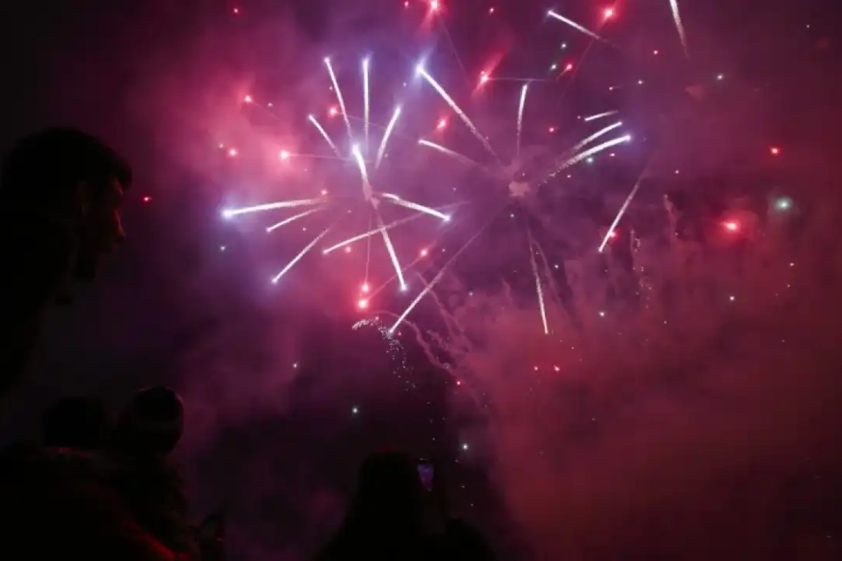 Suba, Engativá y Kennedy, las localidades con más reportes de animales afectados por pólvora - Foto: Redes sociales