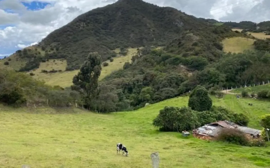 La CAR decreta alerta preventiva en el sector de Mochuelo, Ciudad Bolívar, por niveles críticos de material particulado PM2.5 - Foto: Cortesía