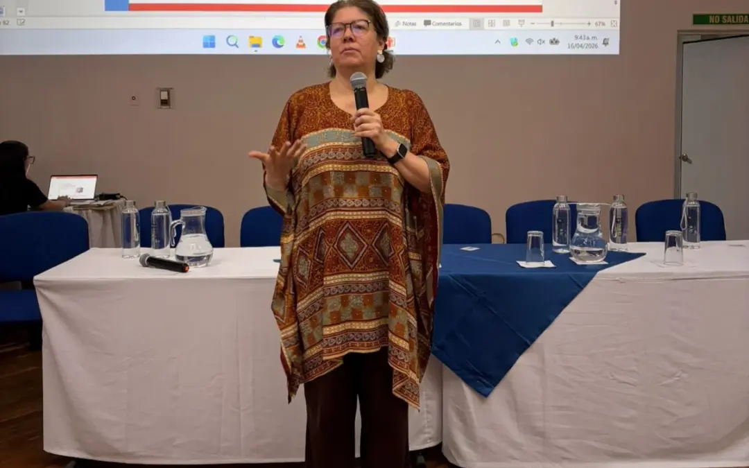 Informe de la MOE revela una alarmante mutación de la violencia electoral en Colombia - Foto: @moecolombia