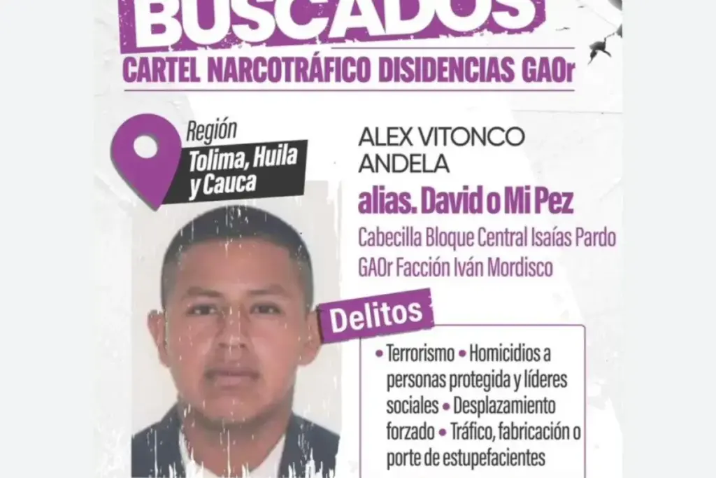 En un operativo de inteligencia en Cali, las autoridades capturaron a Alex Vitonco Andela, alias ‘Mi Pez’, hombre de confianza de Iván Mordisco y líder de las disidencias de las Farc - Foto: @mindefensa