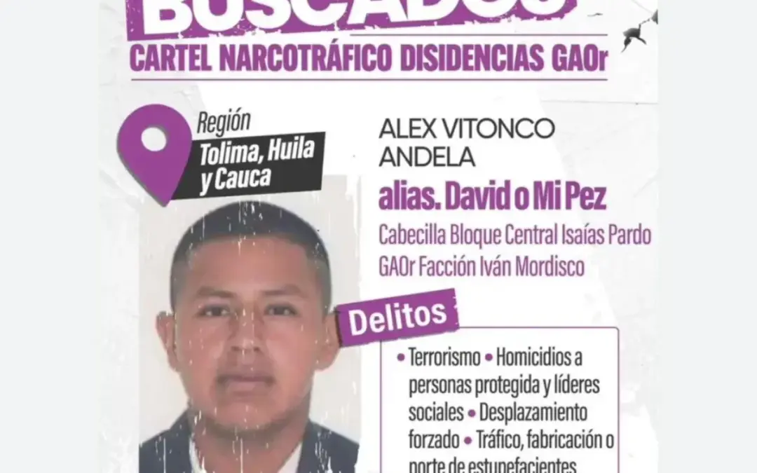 En un operativo de inteligencia en Cali, las autoridades capturaron a Alex Vitonco Andela, alias ‘Mi Pez’, hombre de confianza de Iván Mordisco y líder de las disidencias de las Farc - Foto: @mindefensa