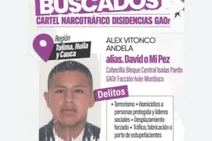 En un operativo de inteligencia en Cali, las autoridades capturaron a Alex Vitonco Andela, alias ‘Mi Pez’, hombre de confianza de Iván Mordisco y líder de las disidencias de las Farc - Foto: @mindefensa